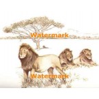 Lions  - #XBAN450  -  PRINT