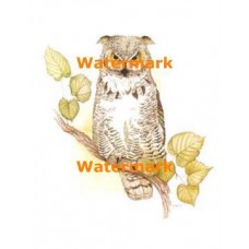 Owl  - XBAN471  -  PRINT