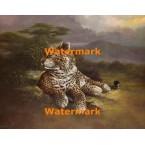 Leopard  - XBAN576  -  PRINT