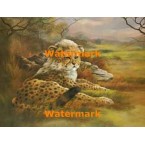 Leopard  - XBAN578  -  PRINT