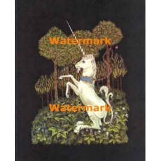 Summer  - XBAN788  -  PRINT