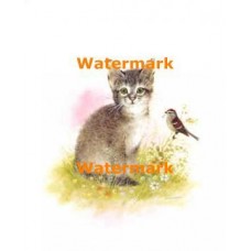 Cat & Bird  - XBAN857  -  PRINT
