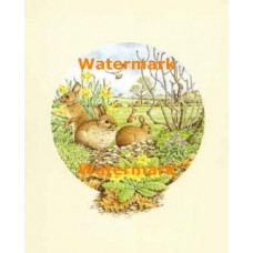 Rabbits  - XBAN942  -  PRINT