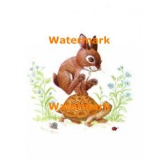 Rabbit & Turtle  - #XBAN953  -  PRINT