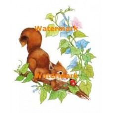 Squirrel & Ladybug  - #XBAN989  -  PRINT