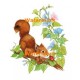 Squirrel & Ladybug  - #XBAN989  -  PRINT
