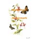 Delicate Butterflies  - XBBF2  -  PRINT