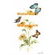Delicate Butterflies  - XBBF3  -  PRINT