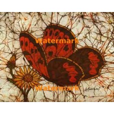 Butterfly  - XBBF33  -  PRINT