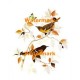 Birds & Butterfly  - XBBI-210  -  PRINT