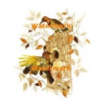 House Hunting  - XBBI-212  -  PRINT