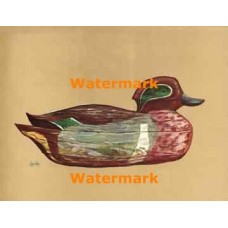 Duck Decoy  - XBBI-269  -  PRINT