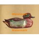 Duck Decoy  - XBBI-269  -  PRINT