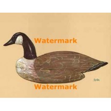 Duck Decoy  - XBBI-271  -  PRINT