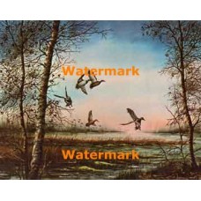 Return To The Narrows - "Mallards"  - XBBI-370  -  PRINT