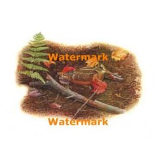 Taking A Rest  - XBBI-450  -  PRINT