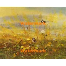 Birds in Field  - #XBB-I552  -  PRINT