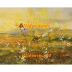 Birds in Field  - XBBI-553  -  PRINT