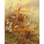 Bird in Field  - XBBI-576  -  PRINT