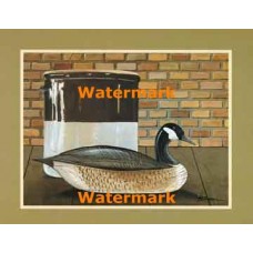 Duck Decoy  - XBBI-955  -  PRINT