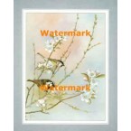 Delicate Birds  - XBBI-971  -  PRINT