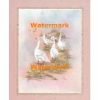 Geese  - #XBBI-988  -  PRINT