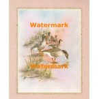 Geese  - #XBBI-989  -  PRINT