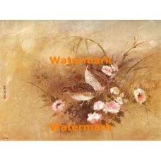 Birds  - XBCH177  -  PRINT