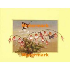 Butterflies And Flowers  - XBCH193  -  PRINT