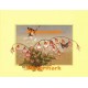 Butterflies And Flowers  - XBCH193  -  PRINT