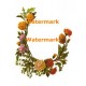 Mum Border  - #XBDE197  -  PRINT