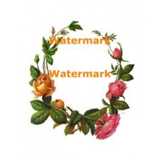 Rose Border  - #XBDE199  -  PRINT