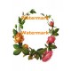 Rose Border  - #XBDE199  -  PRINT