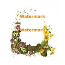 Floral Border  - XBDE200  -  PRINT