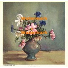 Cosmos and Bachelor Buttons  - XBFL4  -  PRINT
