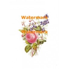 Flowers  - XBFL411  -  PRINT