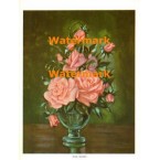 Pink Roses  - #XBFL49  -  PRINT