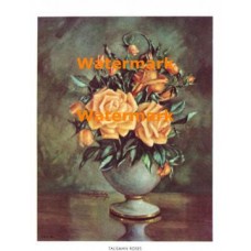Talisman Roses  - #XBFL50  -  PRINT