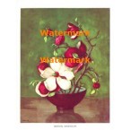 Oriental Magnolias  - #XBFL52  -  PRINT