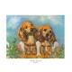 Cocker Spaniels  - XKFL88  -  PRINT