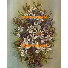 Daisy Mix  - XBFL881  -  PRINT