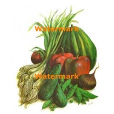 Gardening Delights  - XBFR196  -  PRINT