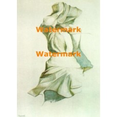 Windblown  - #XRA684  -  PRINT