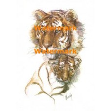 Mama's Boy  - #XRA694  -  PRINT