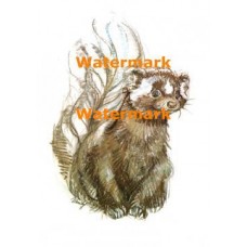 Critter  - XRA695  -  PRINT