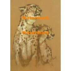 Wildlife  - #XRA697  -  PRINT