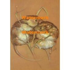 Secrets  - #XRA698  -  PRINT