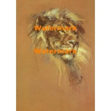 Wildlife  - #XRA699  -  PRINT