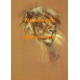 Wildlife  - #XRA699  -  PRINT