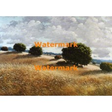 Sonoma Ridge  - #XRA889  -  PRINT